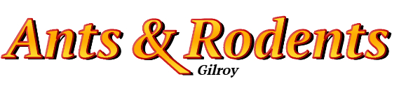 Gilroy Ant Exterminator & Rodent Control Company Logo